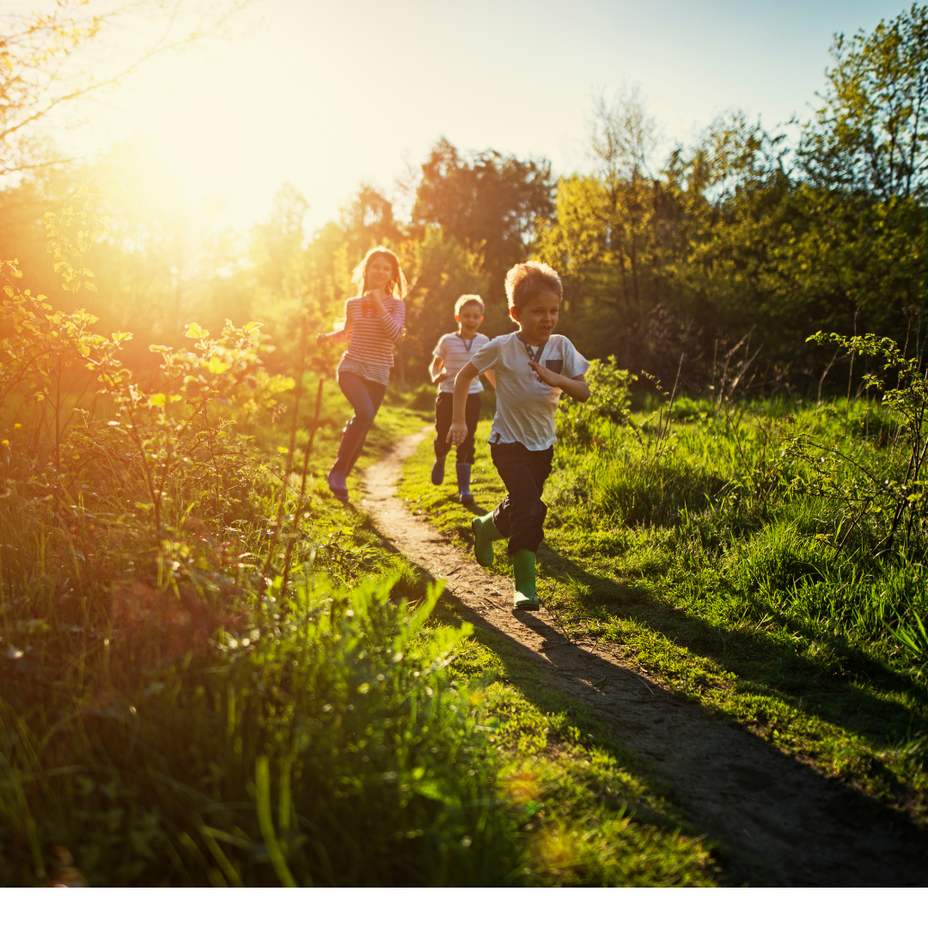 Healthy Snacks For Kids On The Go (No Mess, No Fuss)