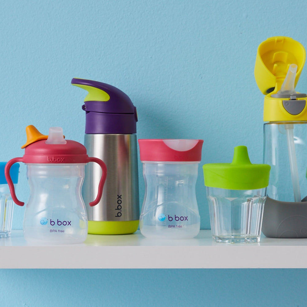 Is a BPAfree water bottle better? A shopping guide b.box for kids USA