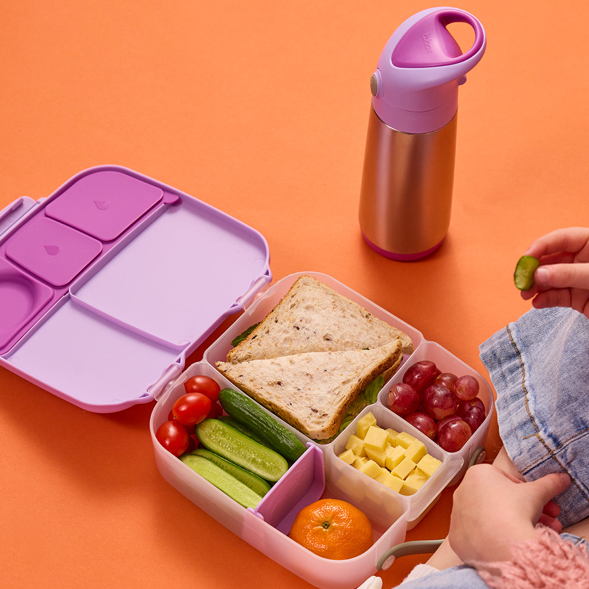 b.box bento lunch box in sugar plum, open with sandwich and fresh fruit, with matching insulated water bottle