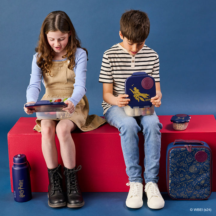 Harry Potter by b.box - snackbox top view with owl artwork