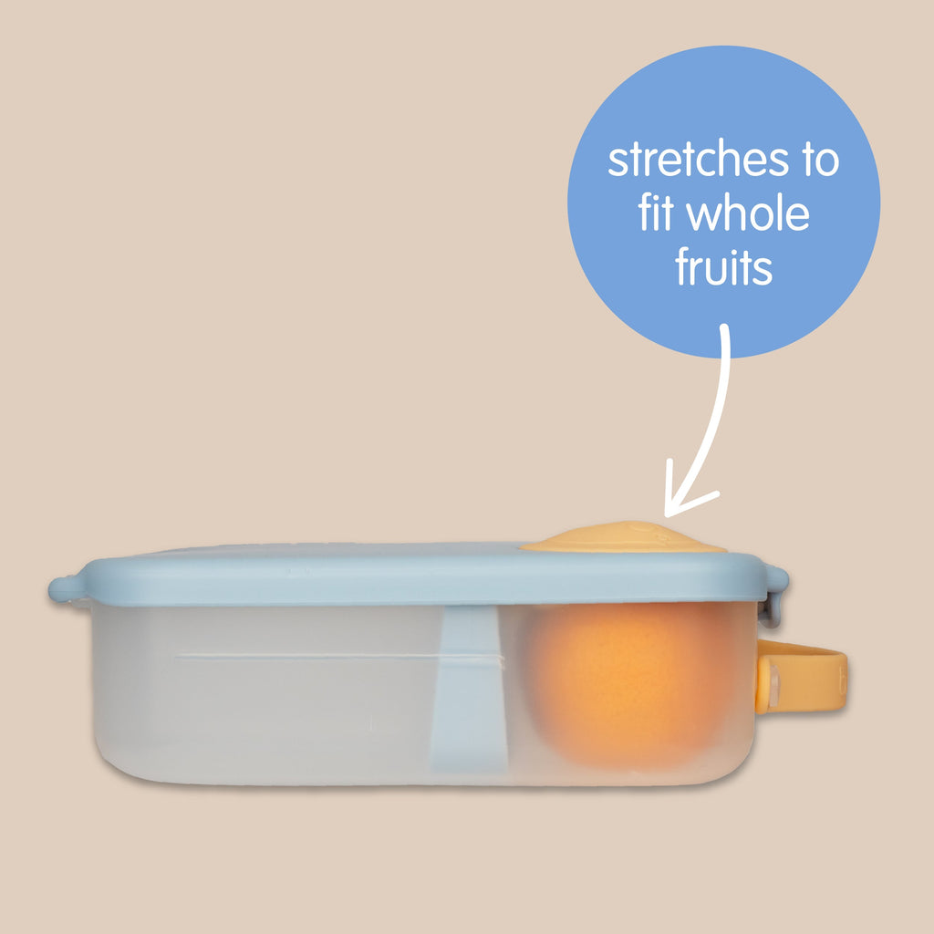 lunchbox - sugar plum