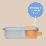 lunchbox - sugar plum