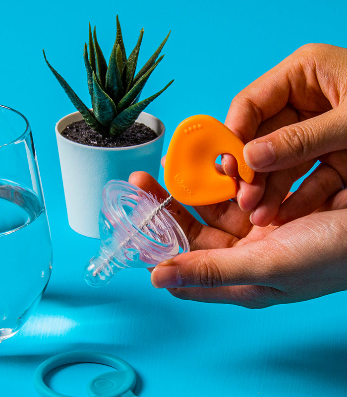 b.box for kids | cleaning brush set | b.box USA