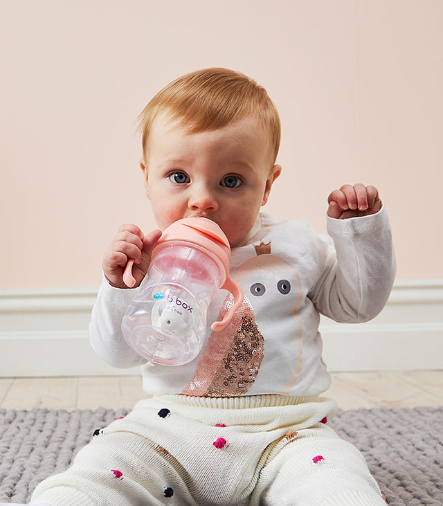 B box Sippy Cups Parent Approved As Baby Toddler Drinking Cups B b-box-sippy-cups-parent-approved-as-baby-toddler-drinking-cups-b