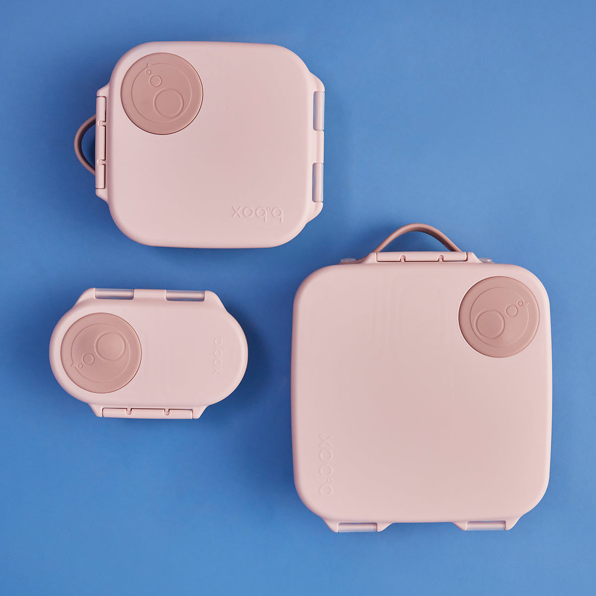 lunchbox - blush crush | bento box lunch box perfect for all ages
