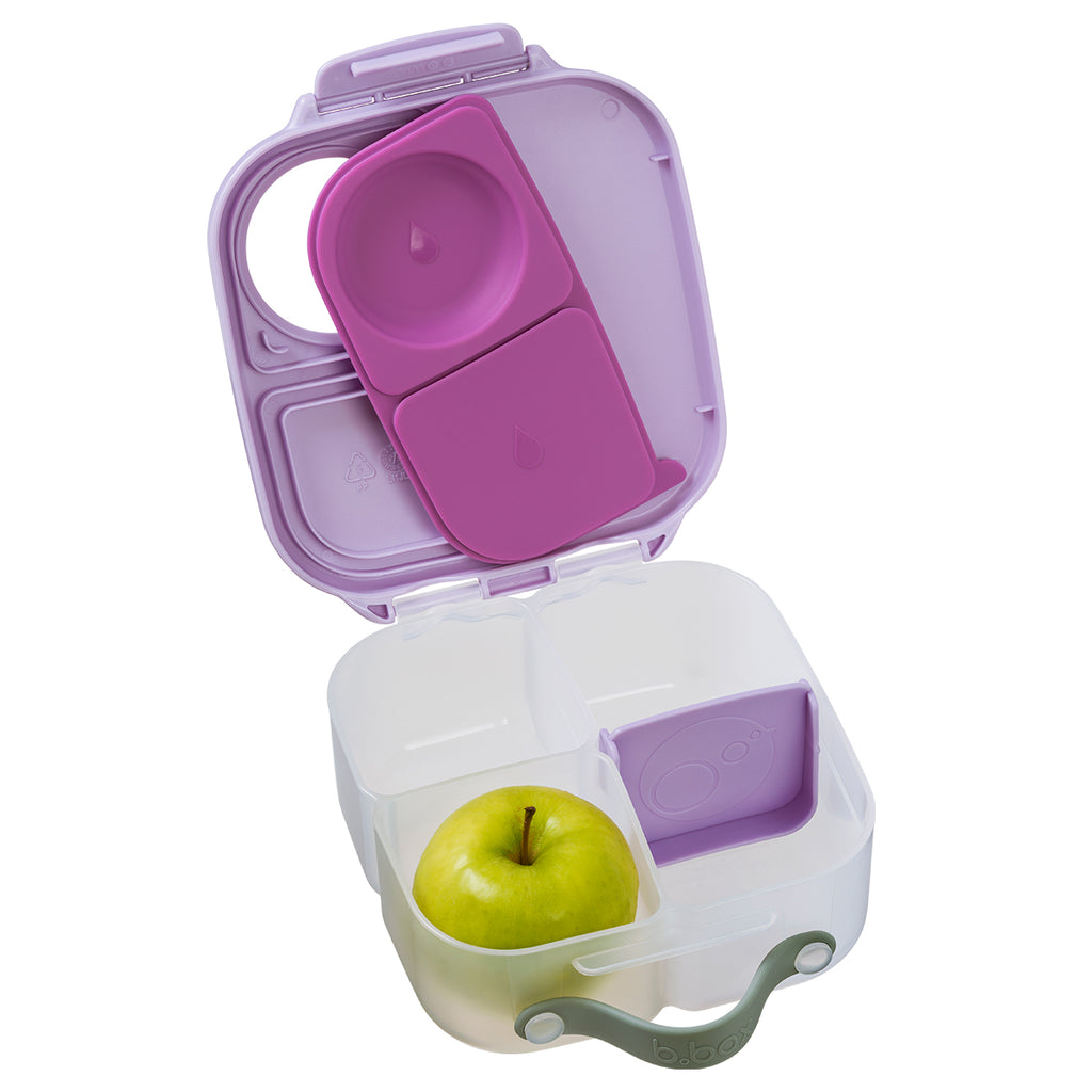 mini lunchbox - sugar plum