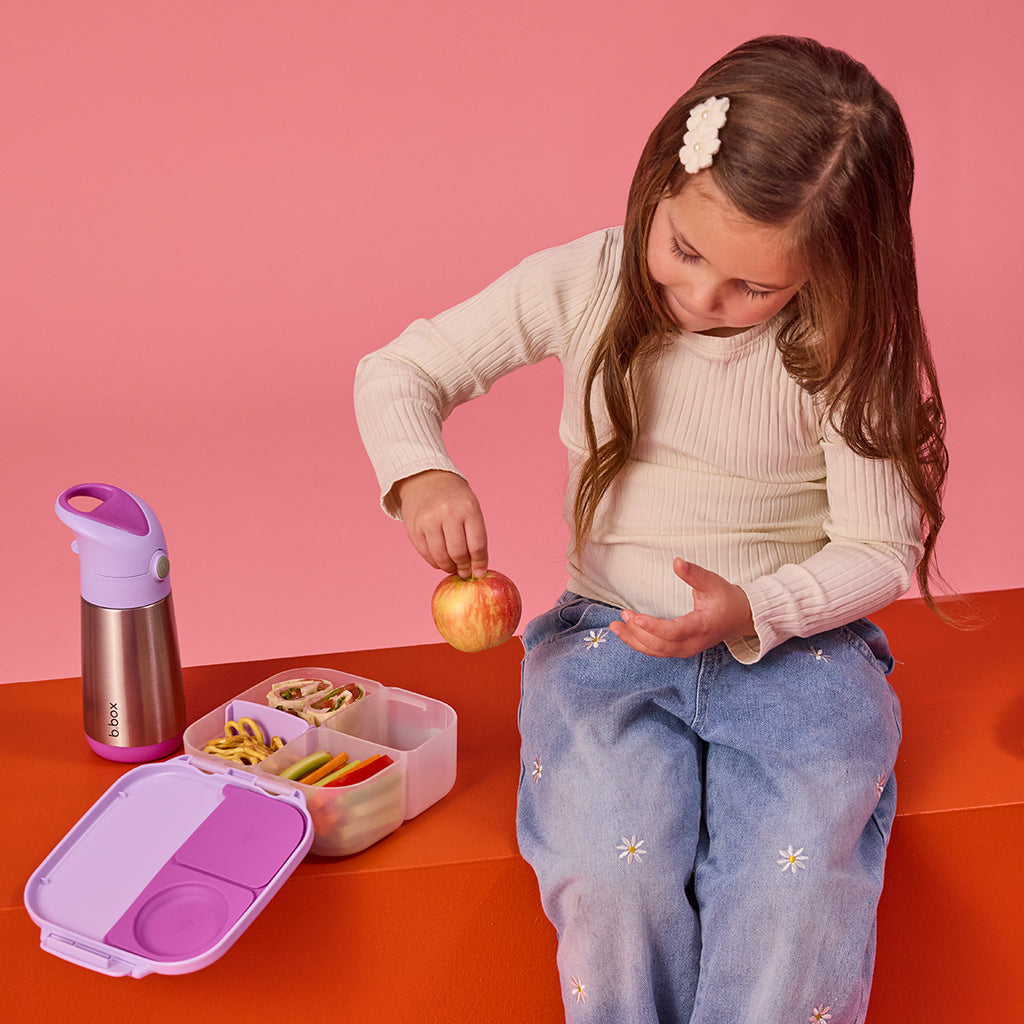 mini lunchbox - sugar plum