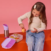 mini lunchbox - sugar plum