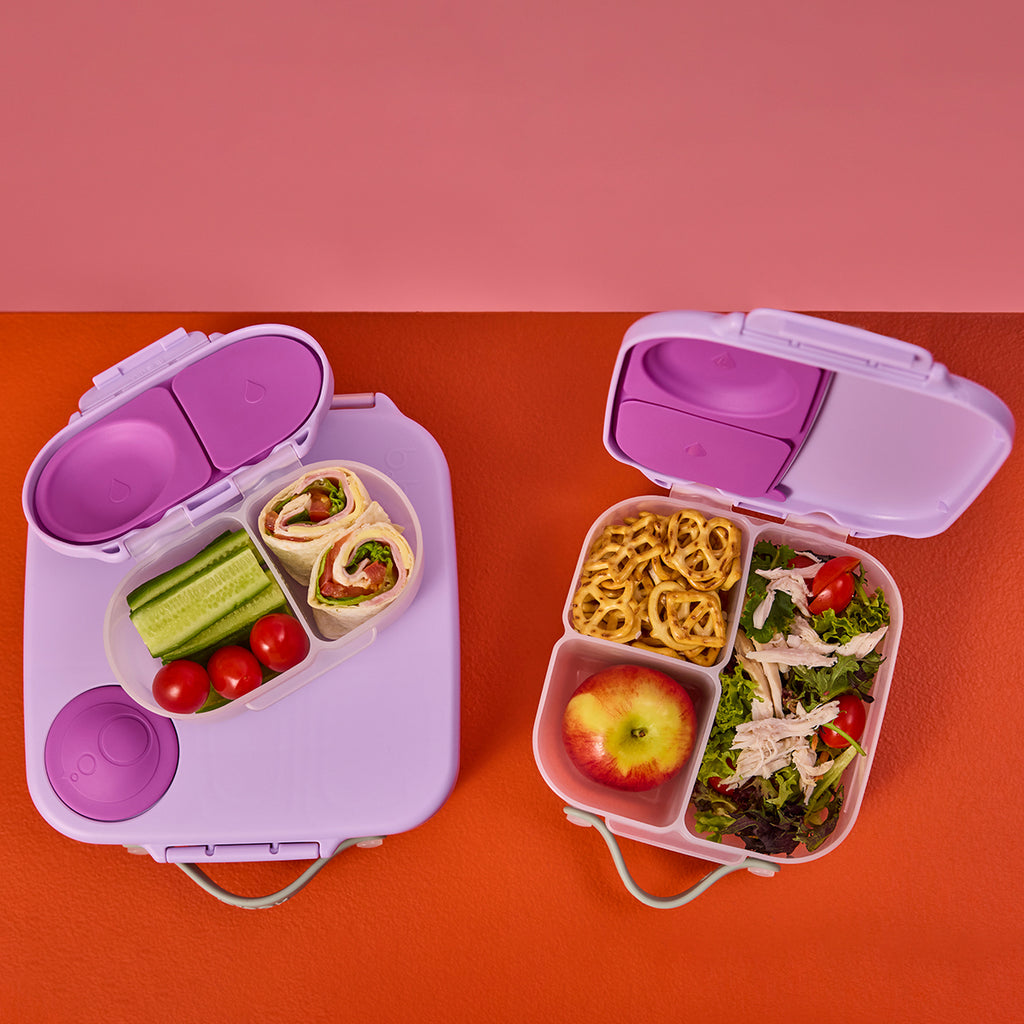 mini lunchbox - sugar plum