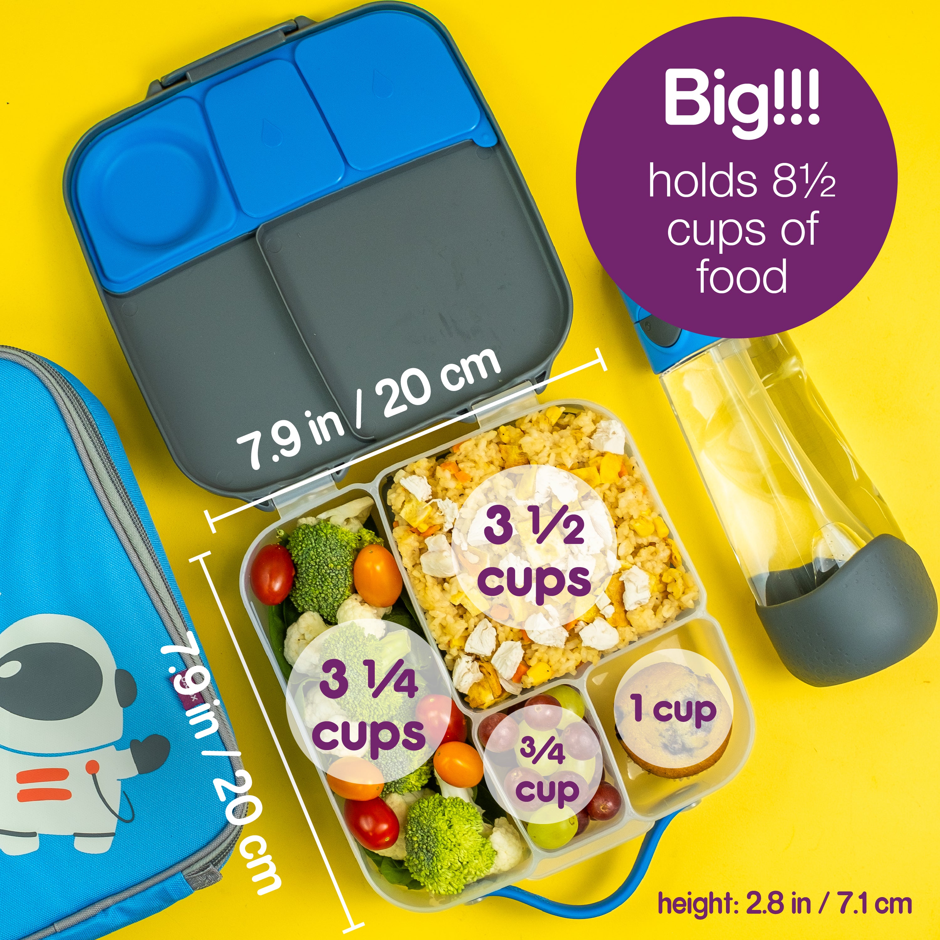 Lunchboxen - Quokka - Staal - Roestvrij - Blauw - Vershouddozen Lunchboxen - Quokka - Staal - Roestvrij - Blauw - Vershouddozen